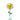 Sunflower Charm